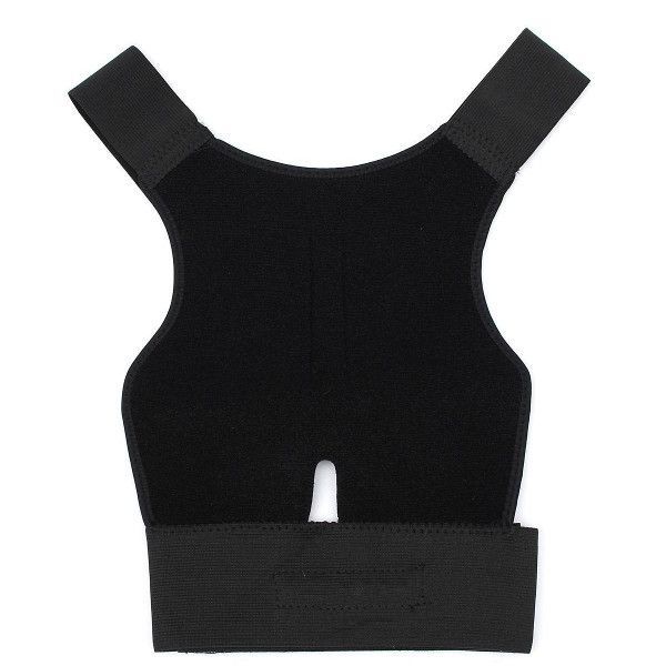 Ceinture dorsale