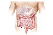 Estomac Qui Bouge Tout Seul - 20 Astuces
